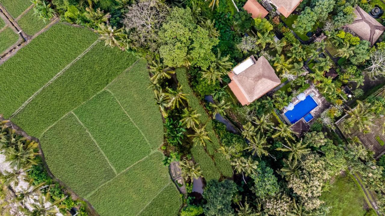 Alam Shanti Ubud Esterno foto